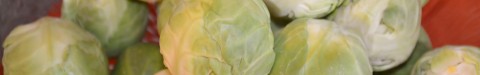 Brussel Sprouts