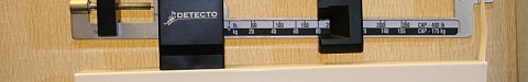 scale