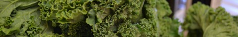 kale bouquet