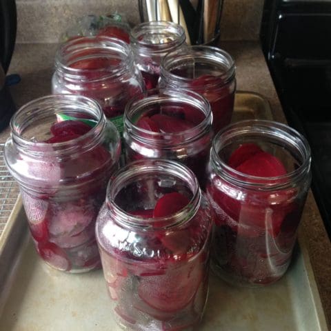beet pickling