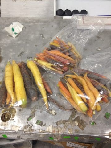 Green Eggs and Ham heritage carrots