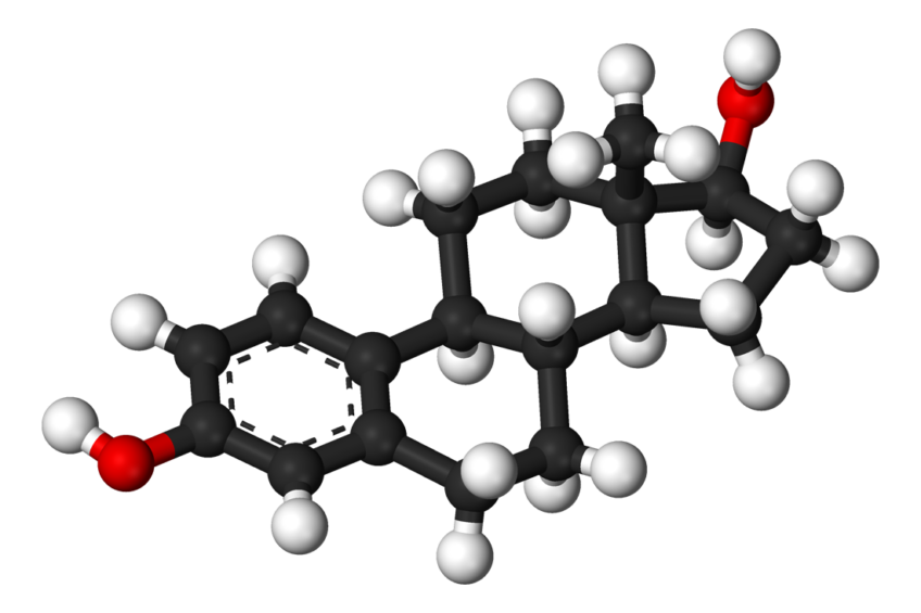 Estrogen molecule, hormone