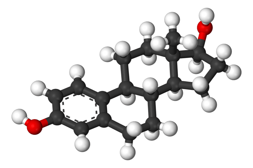 Estrogen molecule, hormone