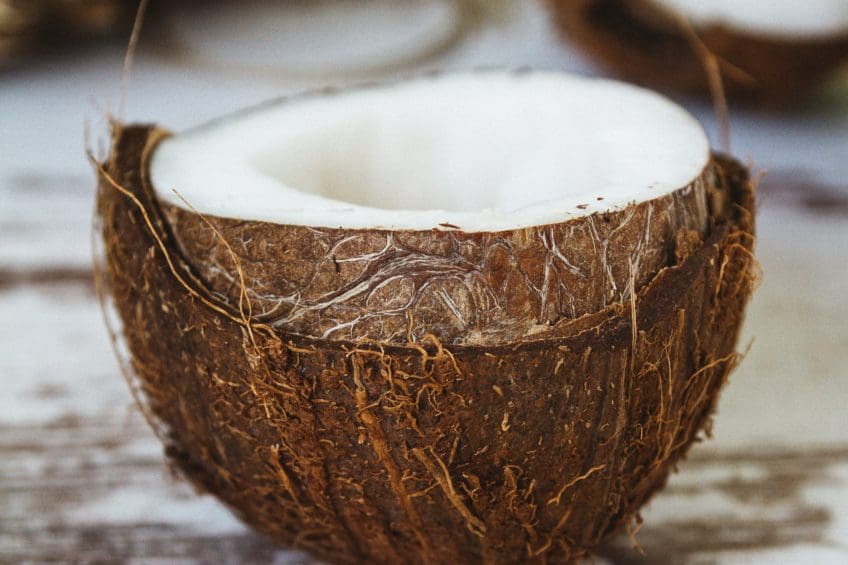 coconut