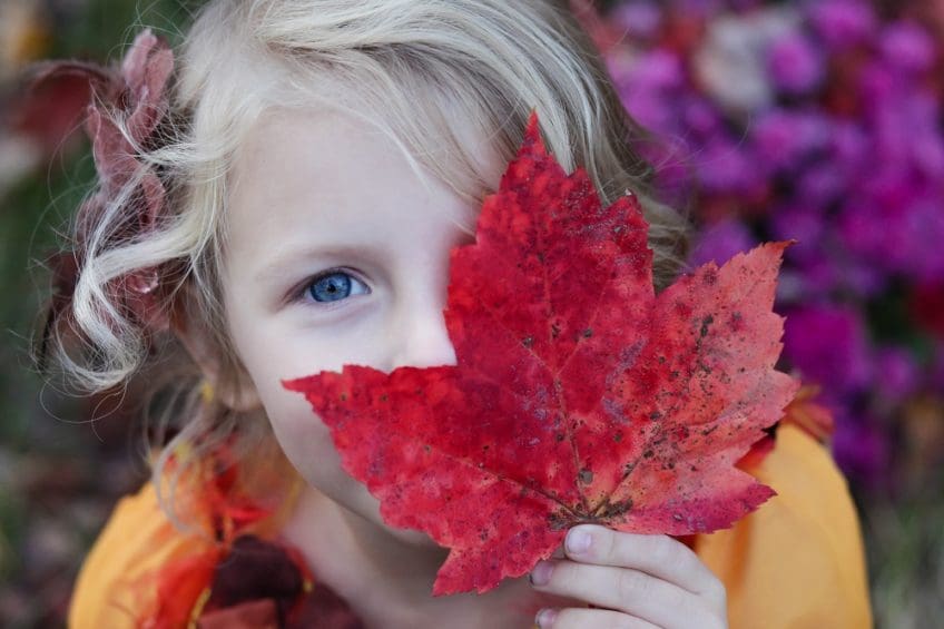 cholesterol and dieting young age