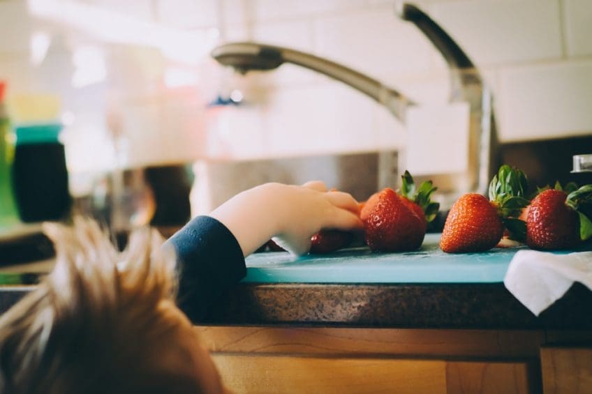 lunch tactics for toddlers