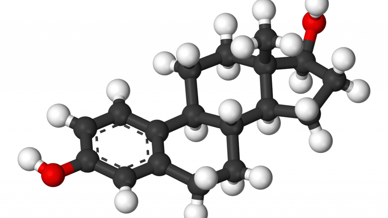 Estrogen molecule, hormone