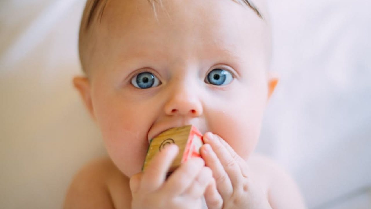 baby's first food tips for success